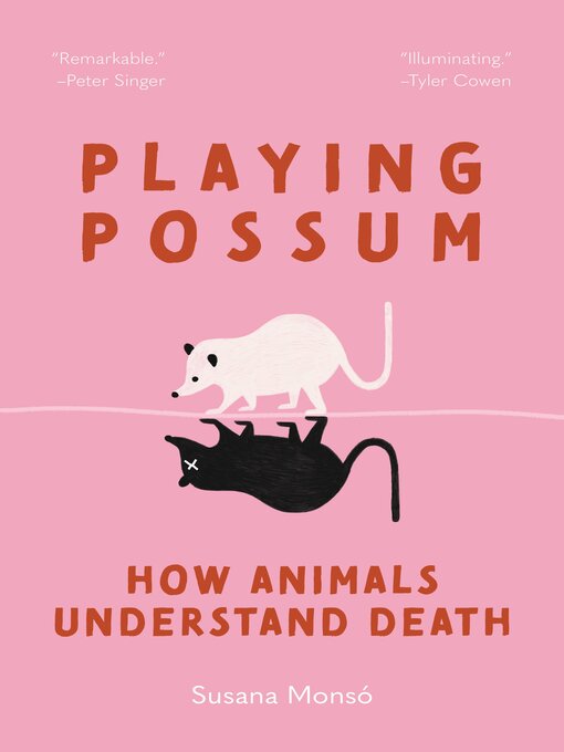 Title details for Playing Possum by Susana Monsó - Wait list